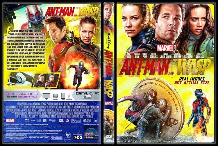 Ant-Man and the Wasp - Custom Dvd Cover - English [2018]-01jpg