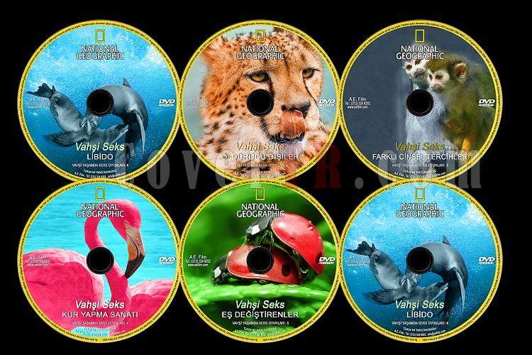 National Geographic:Vahi Seks - Custom Dvd Label Set - English [2007]-national-geographic-vahsi-seks-setjpg