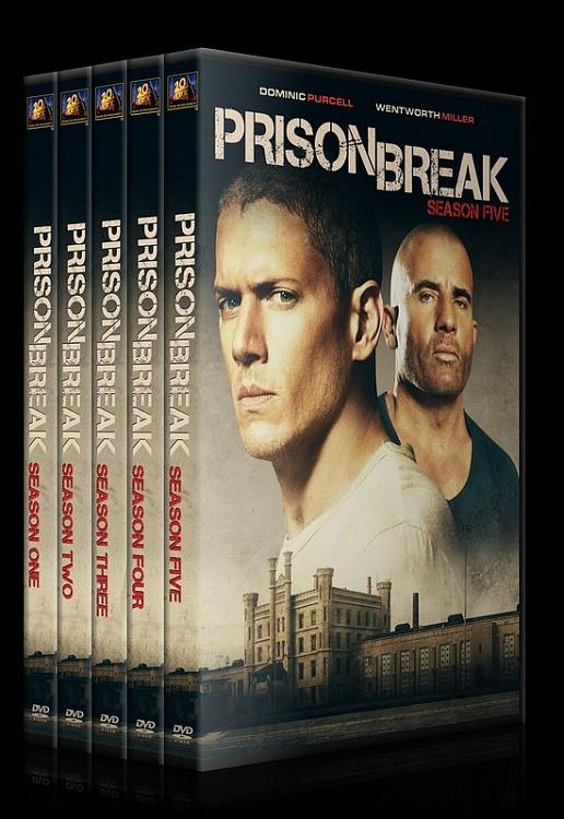 prison break season 1 dvds