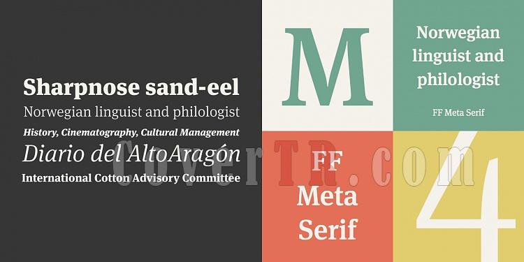 FF Meta Serif Font-198835jpg