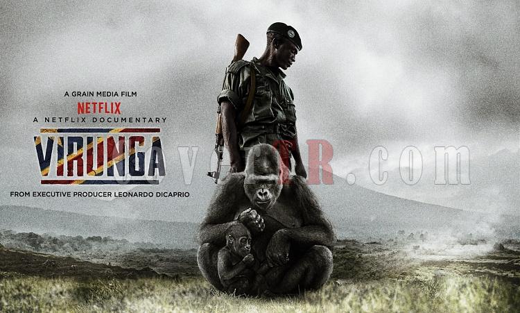 Virunga (Movie) Font-virungajpg