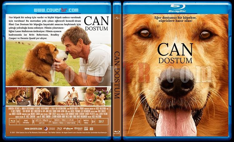 A Dog's Purpose (Can Dostum) - Custom Bluray Cover - Trke [2017]-blu-ray-1-disc-flat-3173x1762-11mmjpg